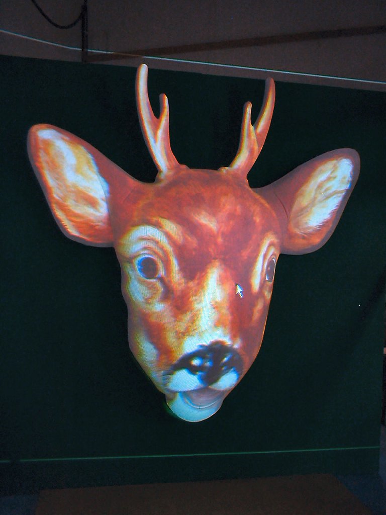 2005 Talking deer 1